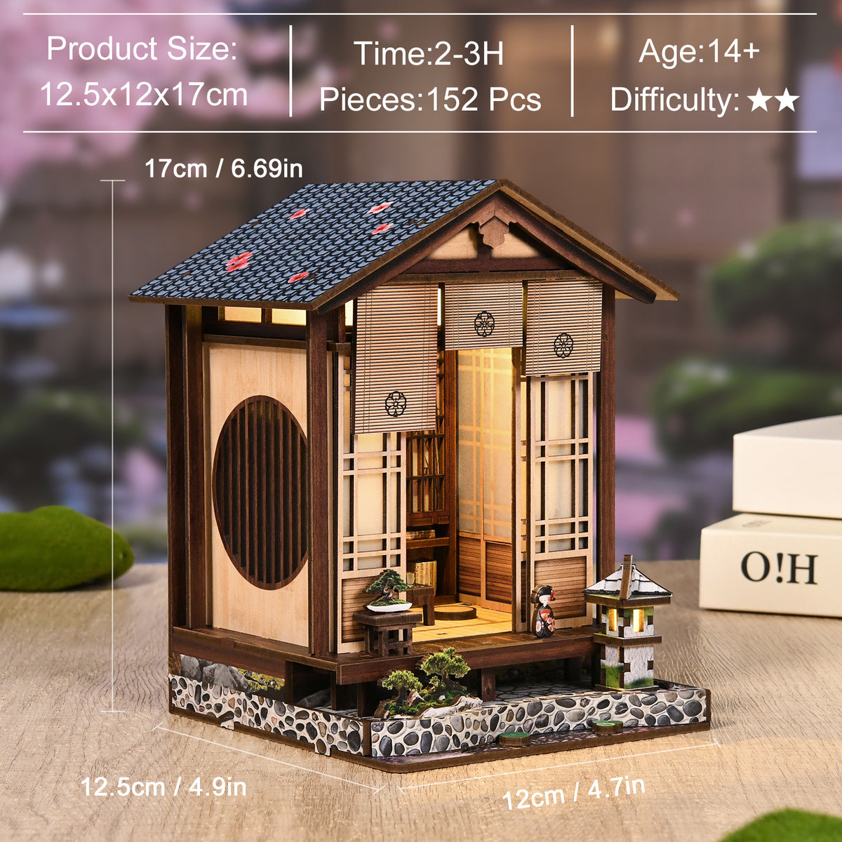 Quiet moss retreat | Moss-lantern harmony garden kit