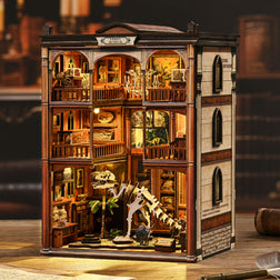 Natural history gallery | Fossil museum kit
