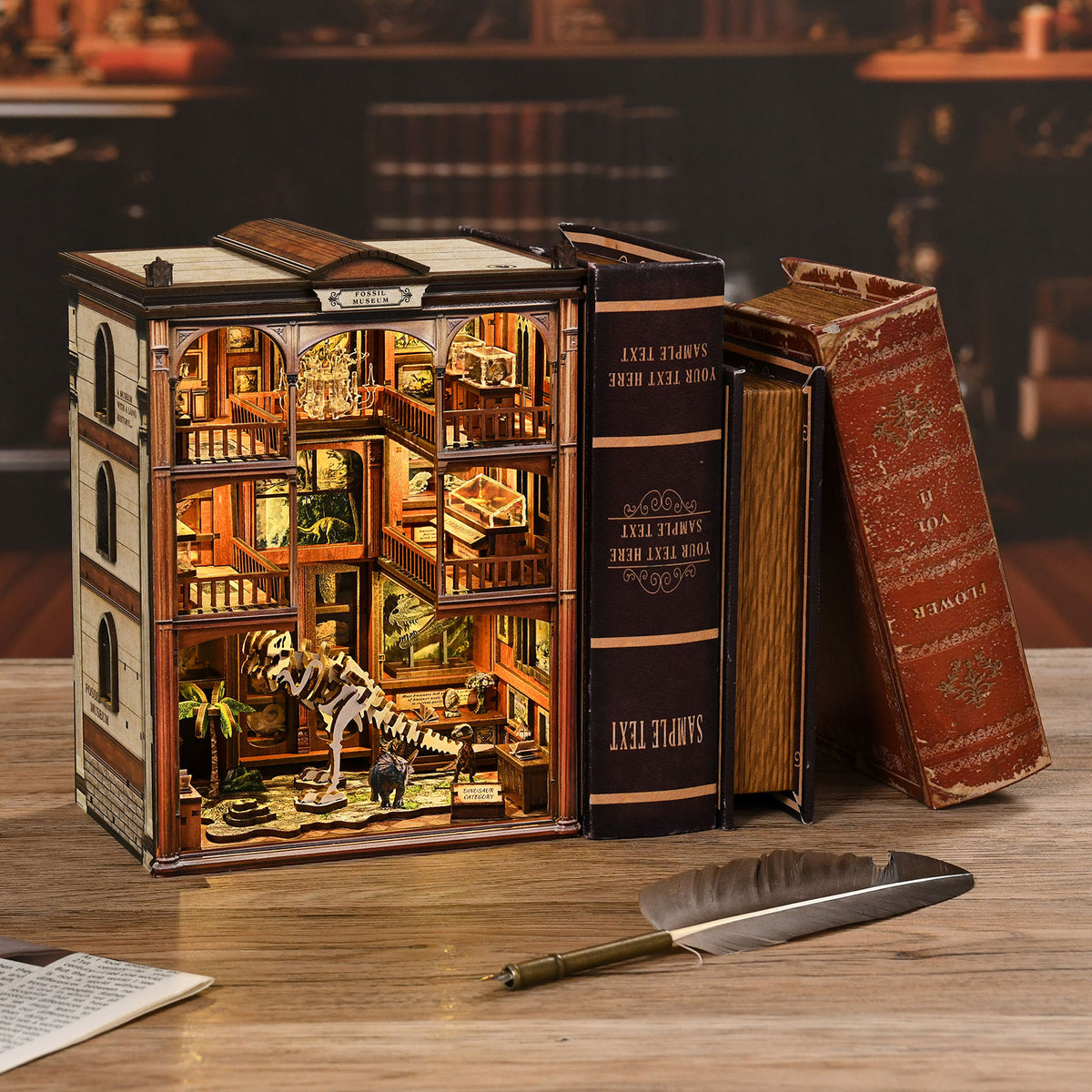 Natural history gallery | Fossil museum kit