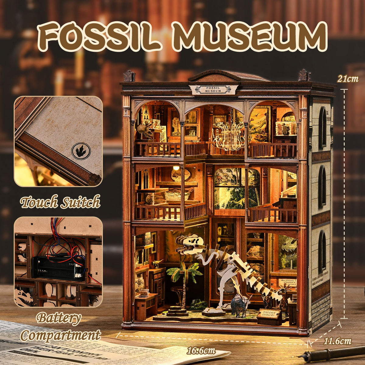 Natural history gallery | Fossil museum kit