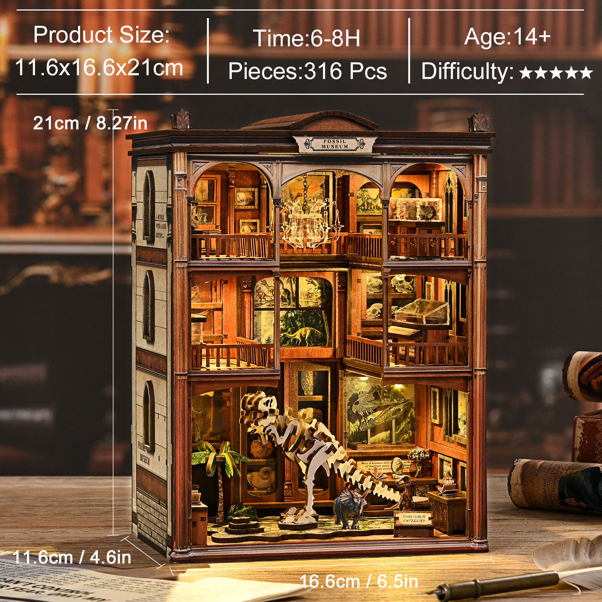 Natural history gallery | Fossil museum kit