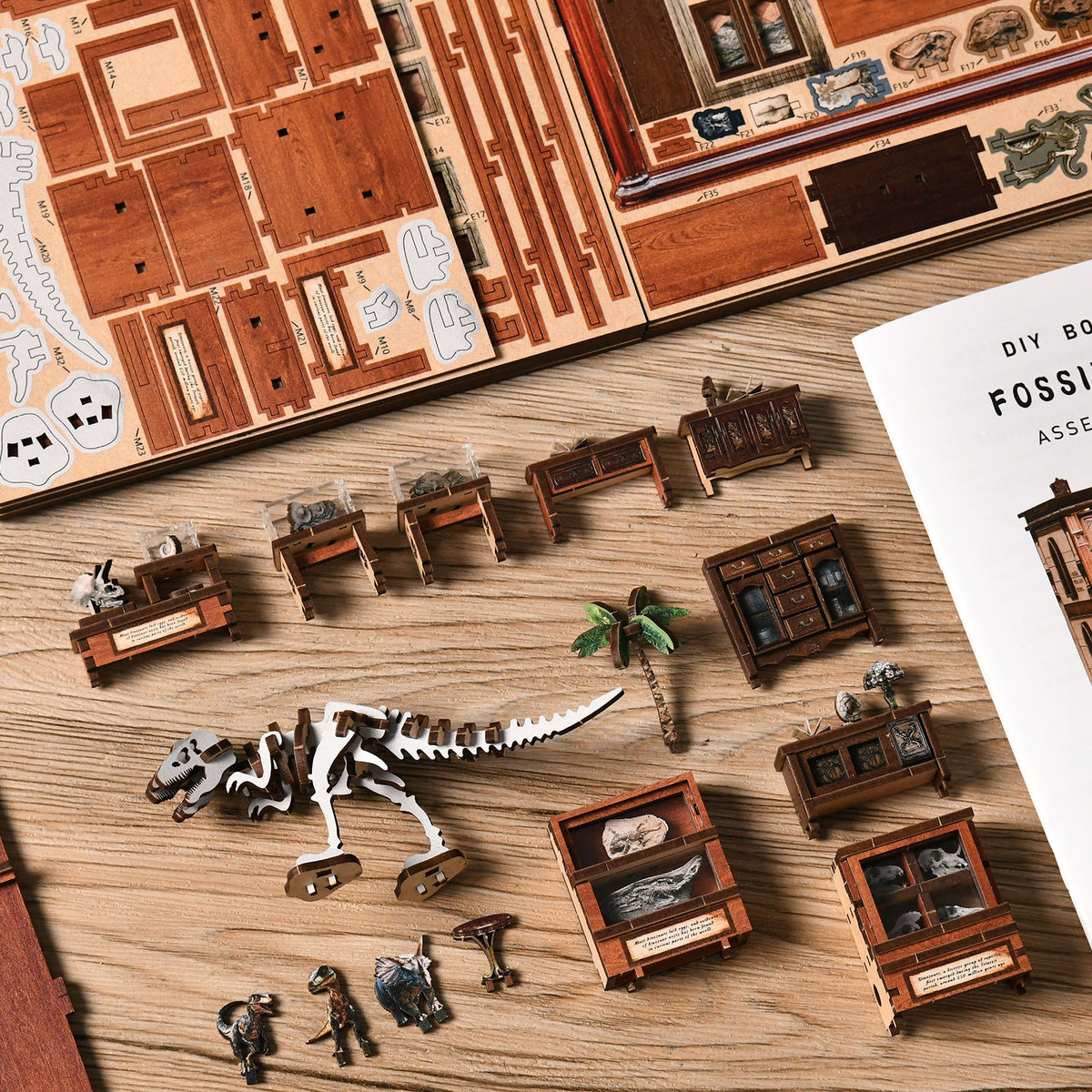 Natural history gallery | Fossil museum kit