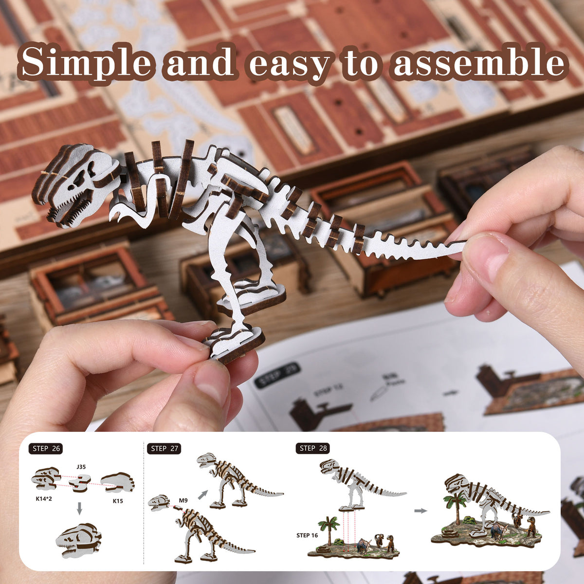 Natural history gallery | Fossil museum kit