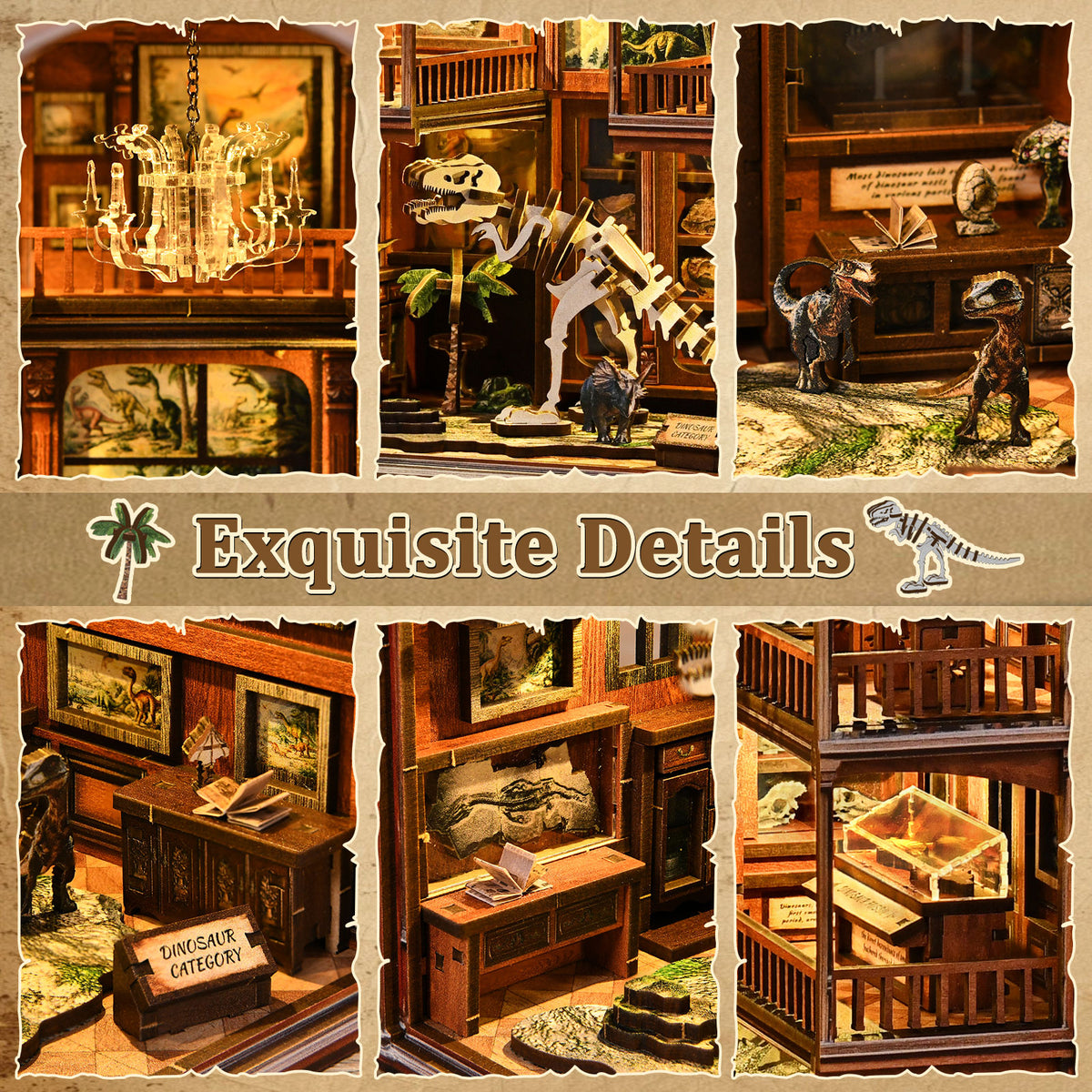 Natural history gallery | Fossil museum kit