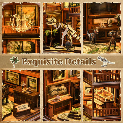 Natural history gallery | Fossil museum kit